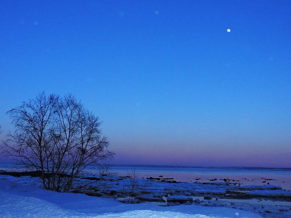 Motel De La Pointe Aux Bouleaux Baie-Sainte-Catherine Eksteriør billede